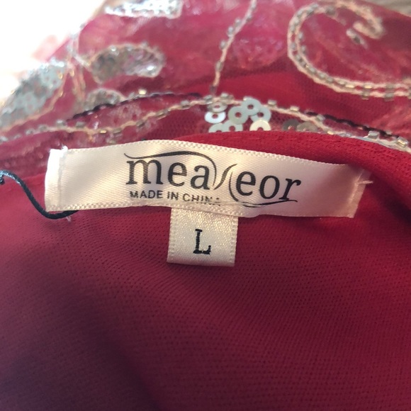 Stunning Sequin & Beaded Pink Dress with Lace. New with tags!  Size Large - Picture 17 of 17